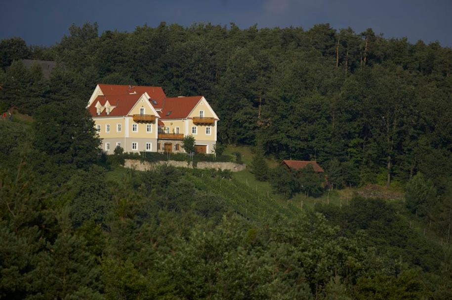 Winzerhaus Friedrich Apartment Kaindorf  Bagian luar foto